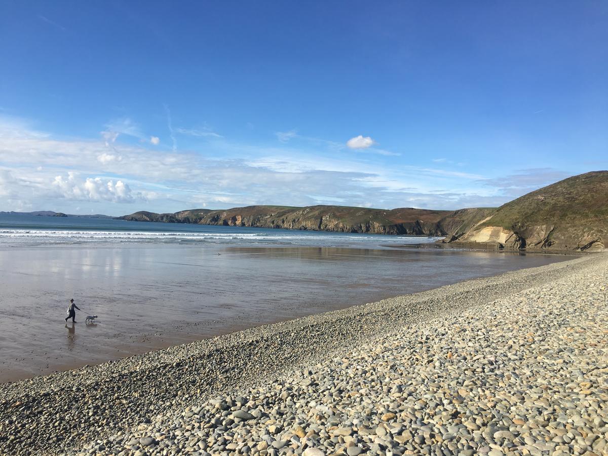 The Duke Of Edinburgh Inn Newgale Eksteriør billede