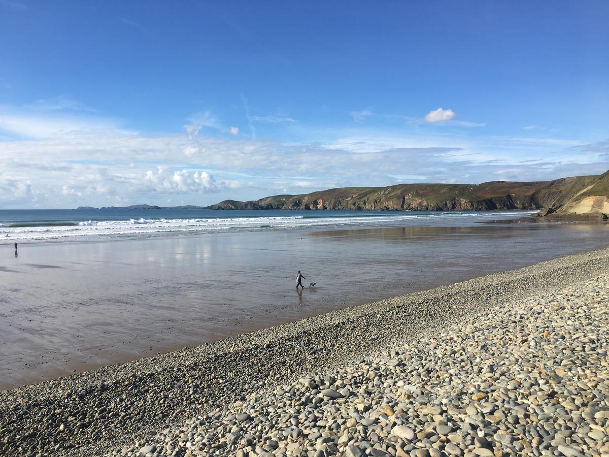 The Duke Of Edinburgh Inn Newgale Eksteriør billede